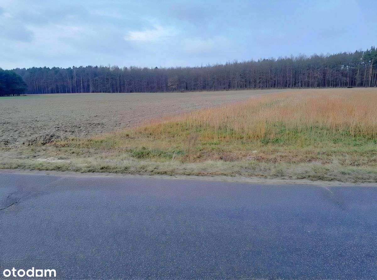 Działka inwestycyjna|dom|magazyn|Żarnów - Pełny obrazek: 3/11