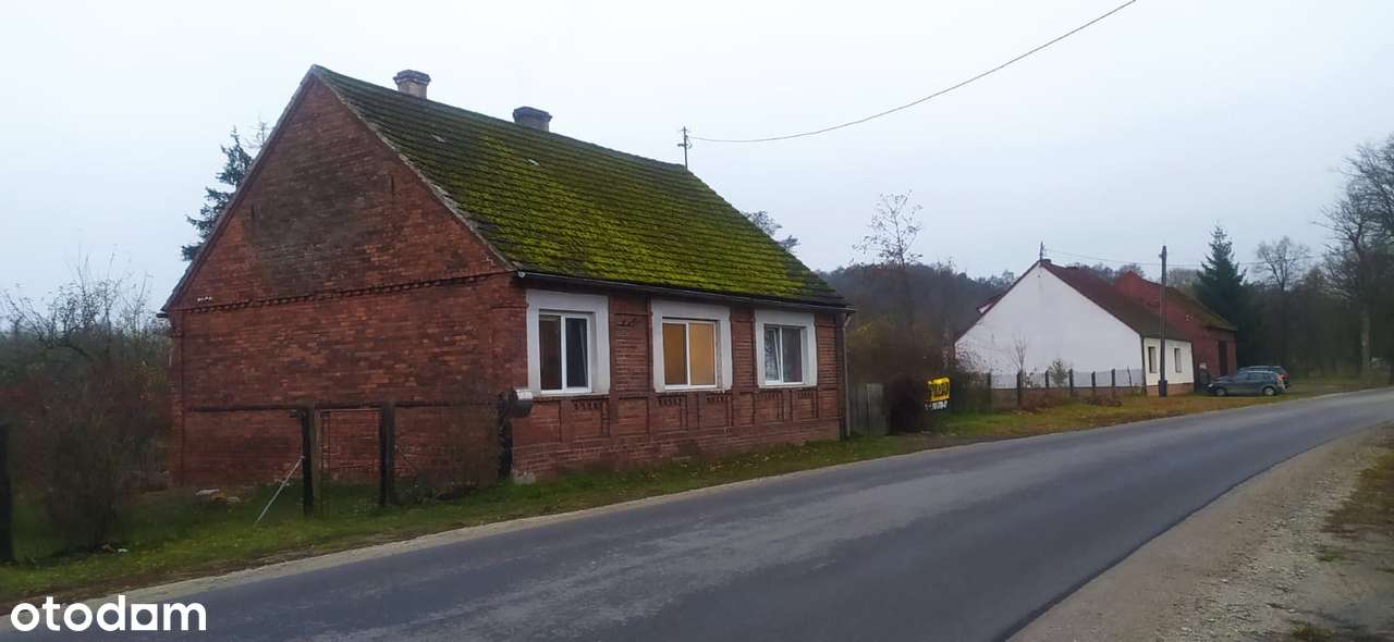 Dom wolnostojący jednorodzinny z duża działką - Pełny obrazek: 1/8