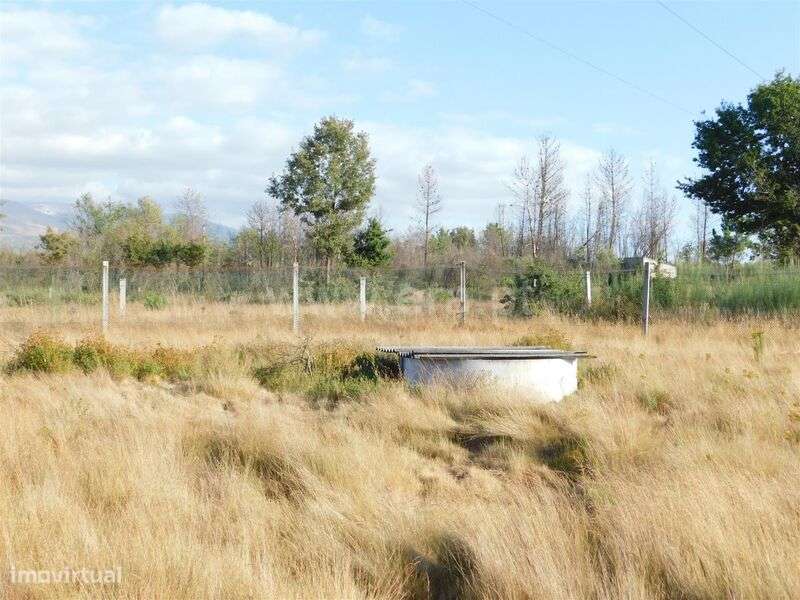 Terreno / Seia, Santa Comba - Grande imagem: 4/6