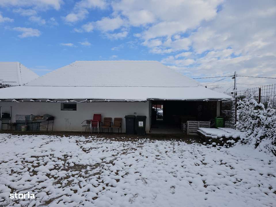 Spatiu comercial cu o suprafata de 150 mp, Suplacu de Tinca, Bihor - Imagine principală: 3/17