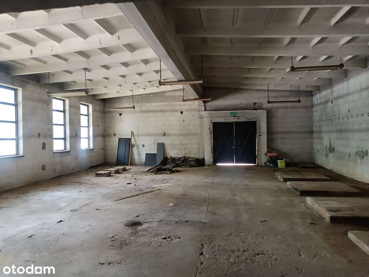 OBIEKT PRZEMYSŁOWY W CENTRUM RZESZOWA - MONTE CASSINO 10 A - 247 M2 - Pełny obrazek: 5/11