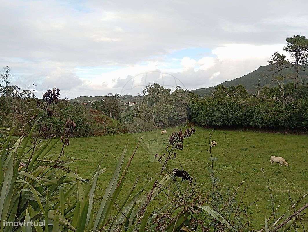 Terreno  para venda-7