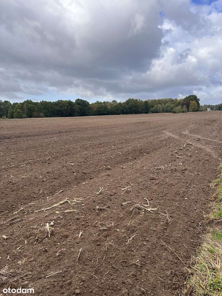 Działka budowlana – Boża Wola, powiat miński - Pełny obrazek: 4/4