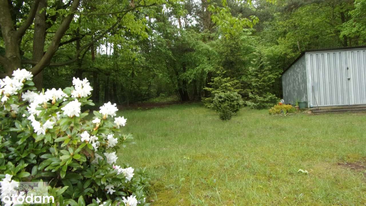 Pięknie położona działka rolno-budowlana - Pełny obrazek: 4/7