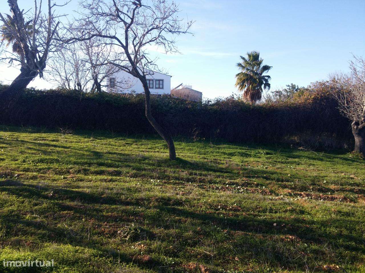 Terreno Rustico C/ 1640M2 Pechão C/ Vista Mar - Grande imagem: 2/5