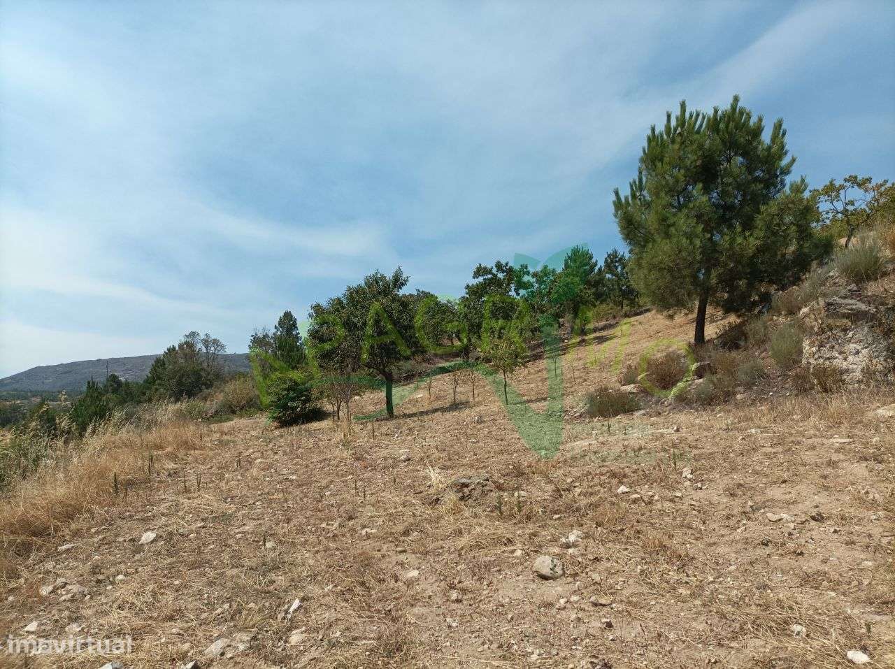 Terreno rústico "Fojo" em Póvoa de Penela - Grande imagem: 5/17