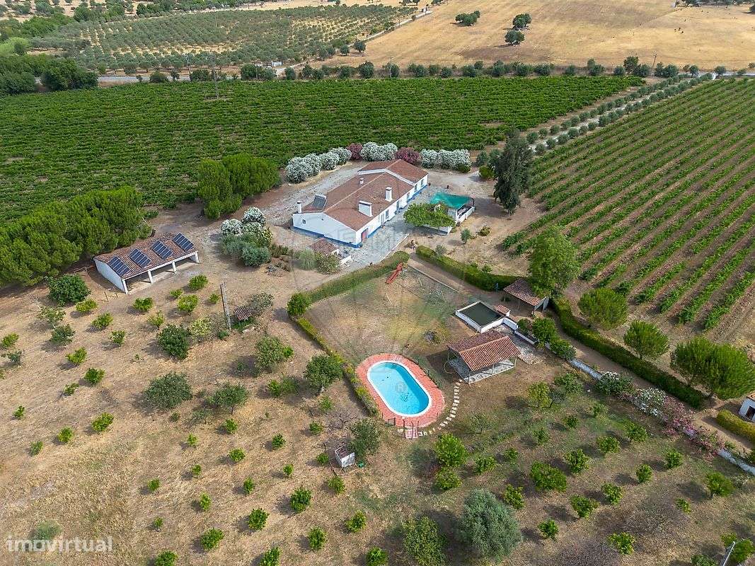 Quinta T8 para venda-2