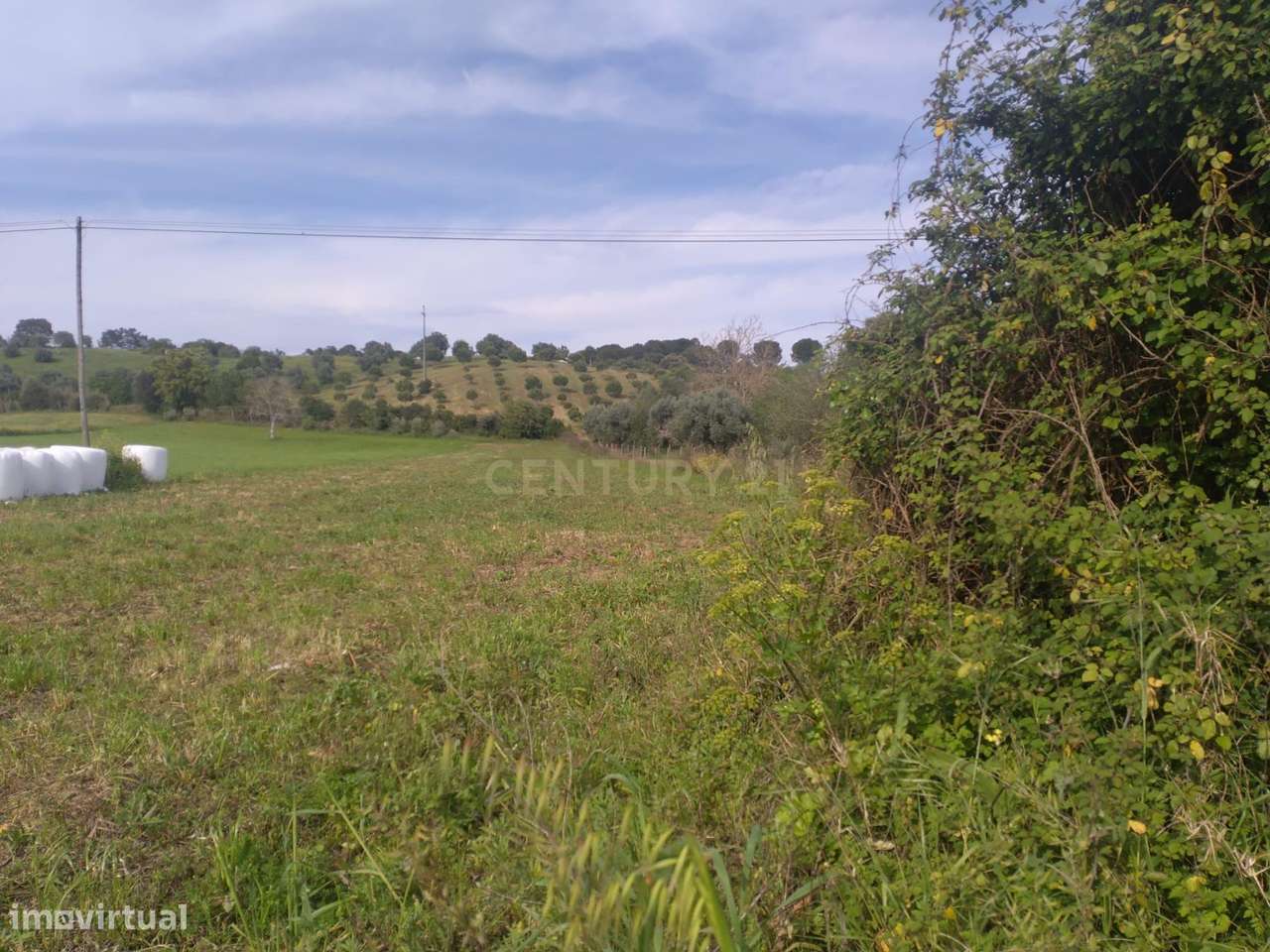 Terreno misto para construção - Grande imagem: 5/9