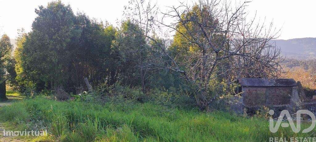 Moradia geminada T2 em Loivo de 142 m2 - Grande imagem: 2/6