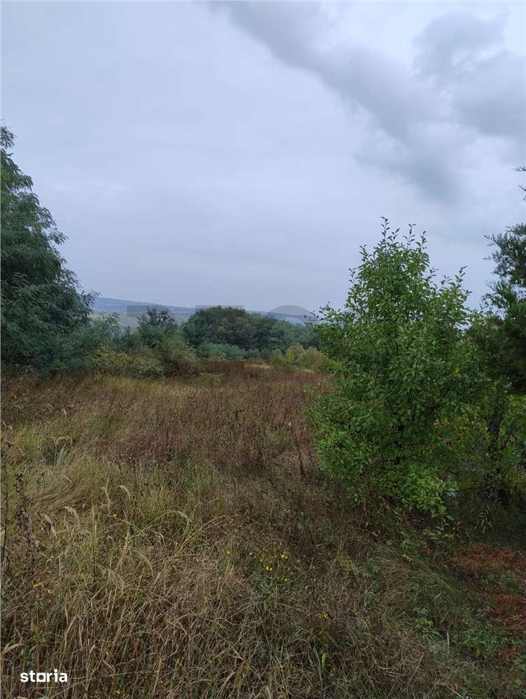 RECO Teren intravilan Lazareni - Imagine principală: 3/5