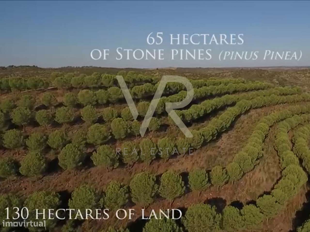 Herdade da Várzea do Escalda, localiza-se em Mértola-15