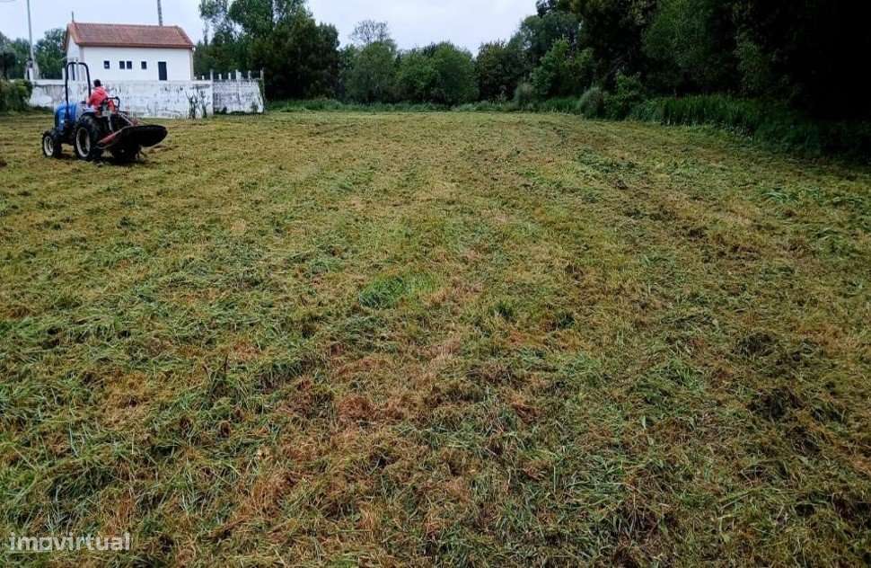 Terreno Rústico com 7650m2 junto ao Rio Âncora - Grande imagem: 4/8