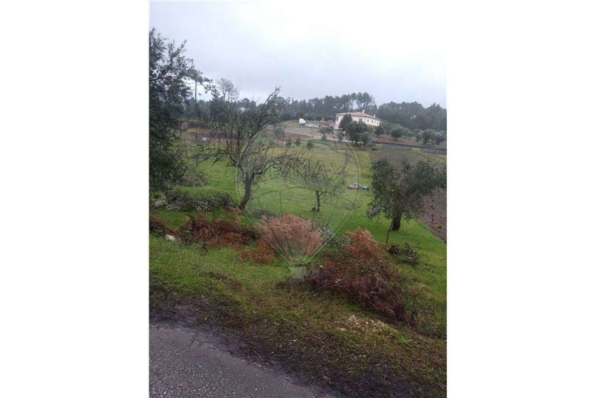 Terreno agrícola em Soucide - Grande imagem: 4/4