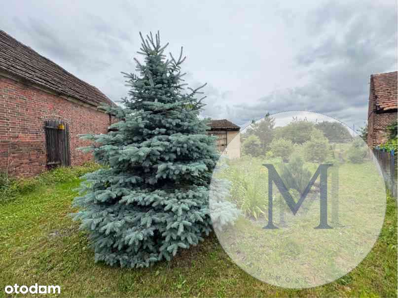 Dom do aranżacji w Wężyskach w spokojnej okolicy-14