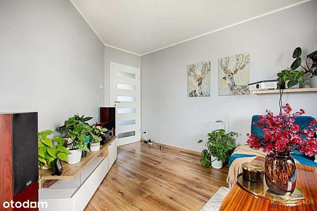 **Nowe Miasto** 2 oddzielne pokoje** cegła**2002 - Pełny obrazek: 5/16