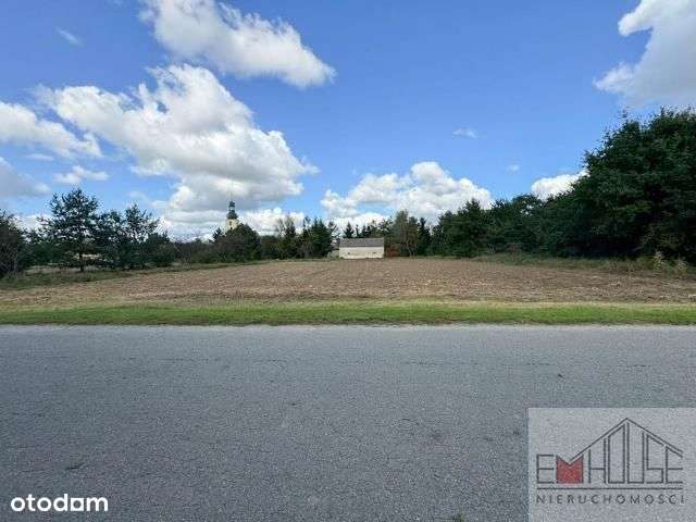 Kotowice-Działka-Las-blisko Wrocław/ Szewce - Pełny obrazek: 4/13