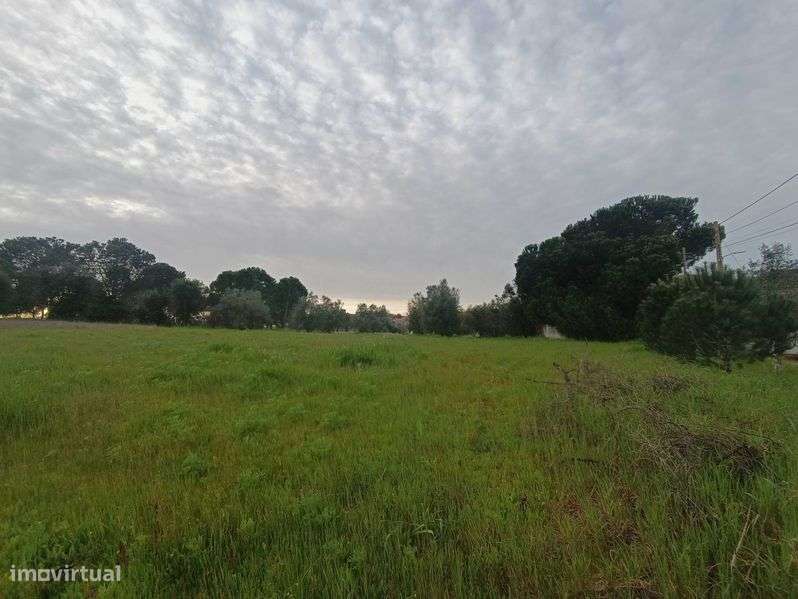 Terreno para Construção 842m2 - Grande imagem: 4/7