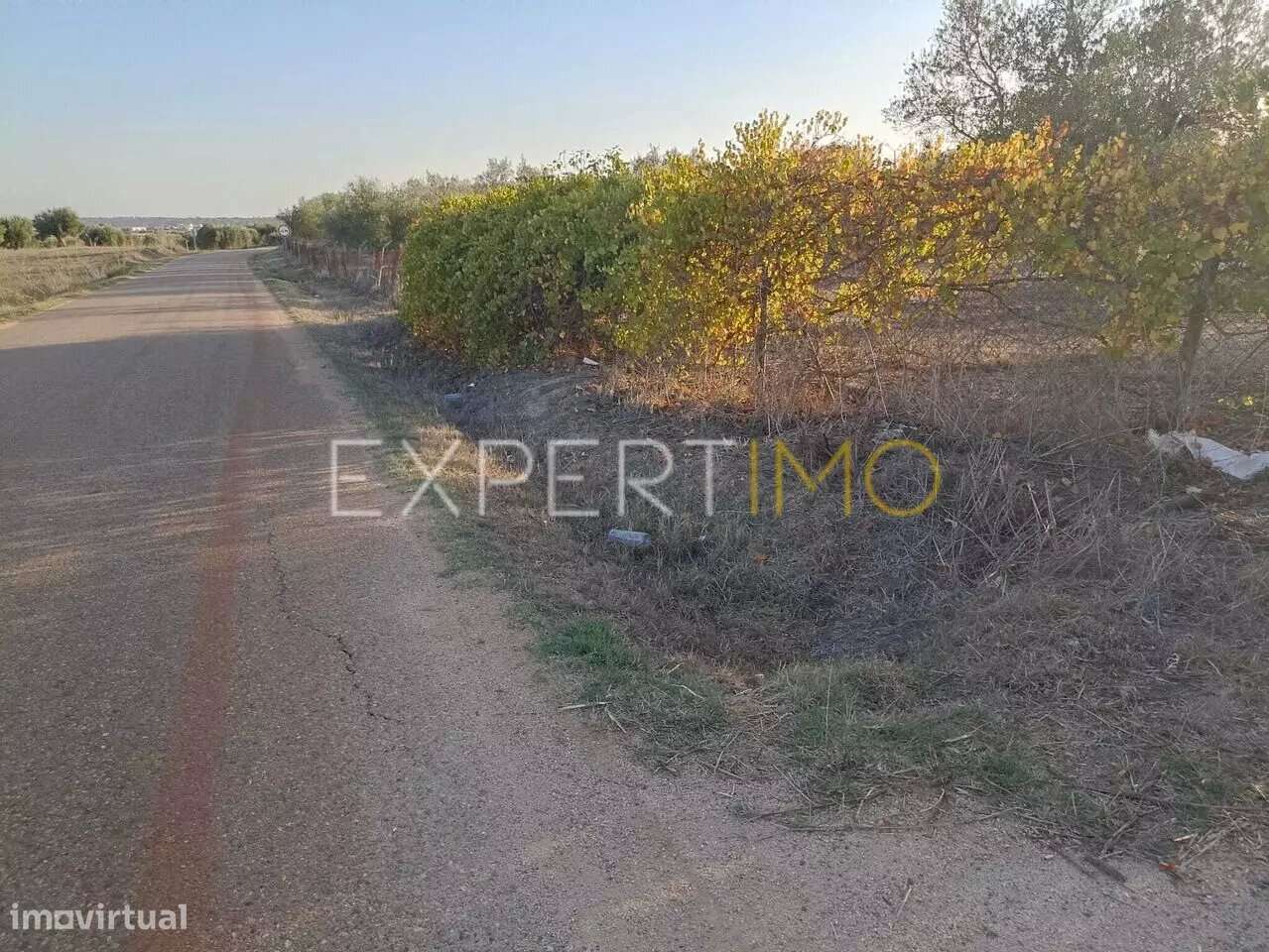 Terreno aberto na região de Serpa para venda - Grande imagem: 3/25