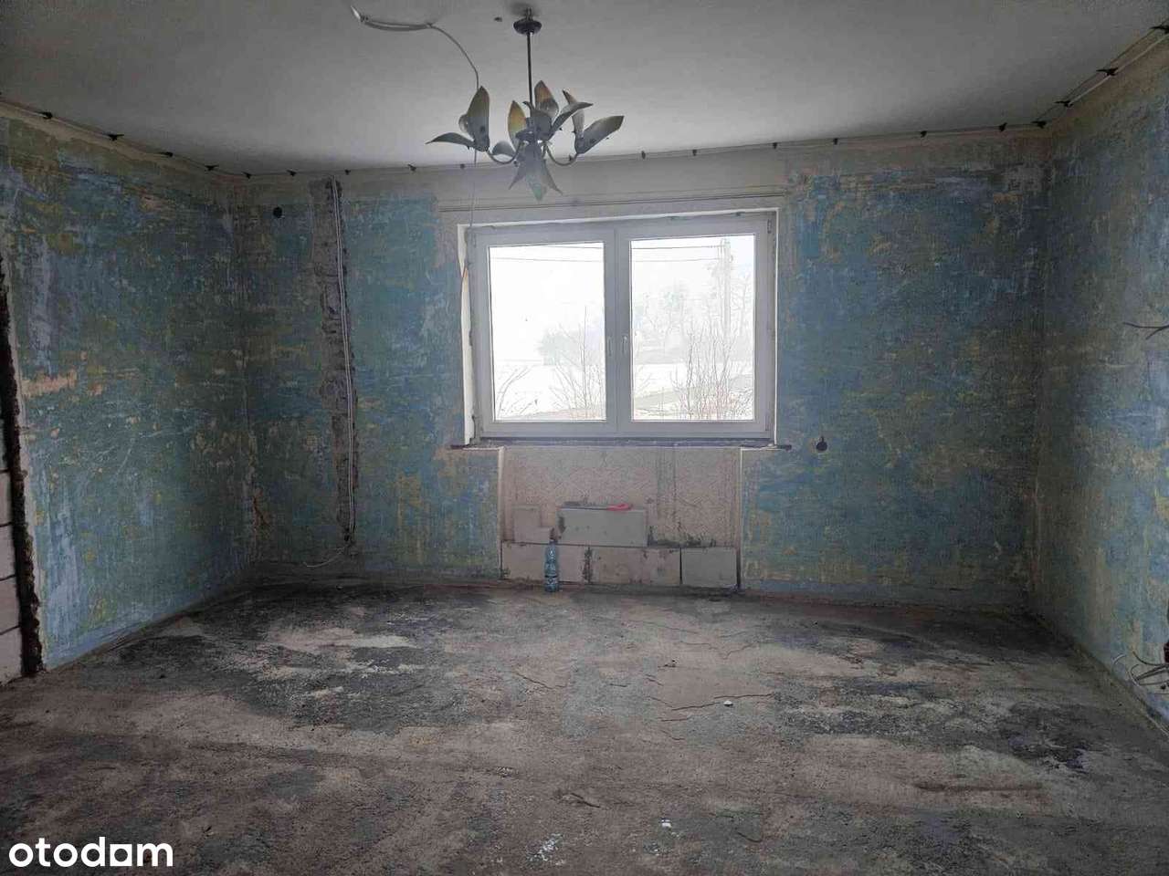 Piękne siedlisko dom gospodarstwo - Pełny obrazek: 4/17