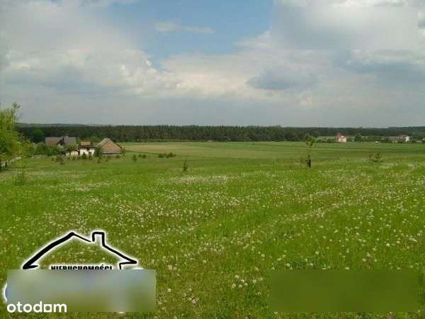 Działka, 1 281 m², Kroczyce - Pełny obrazek: 5/5