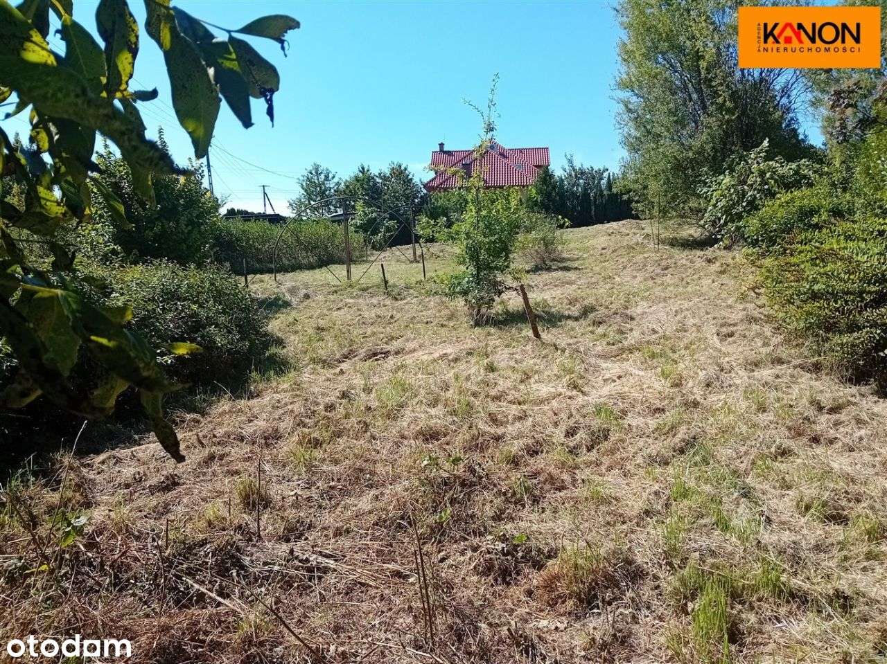 Działka, 3 235 m², Międzyrzecze Górne-19