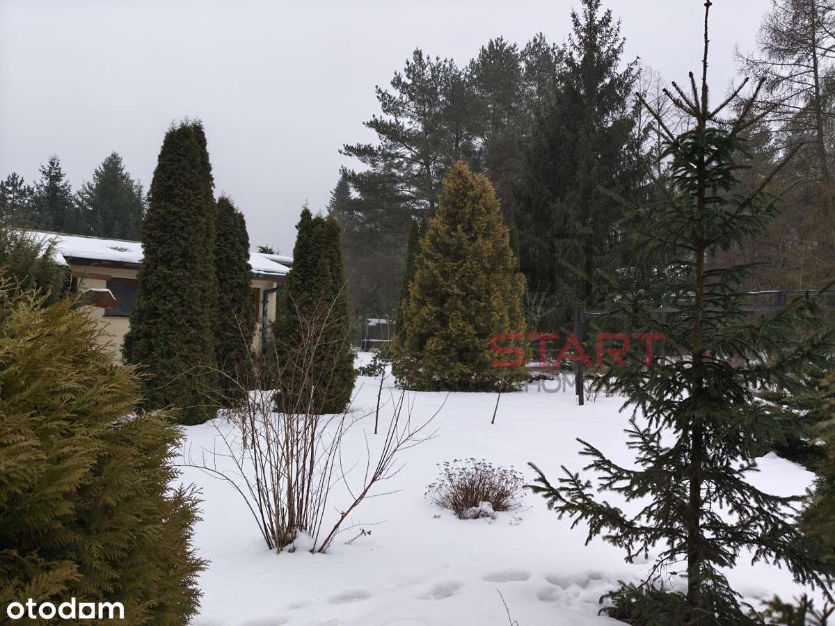 Domek letniskowy na zagospodarowanej działce-0