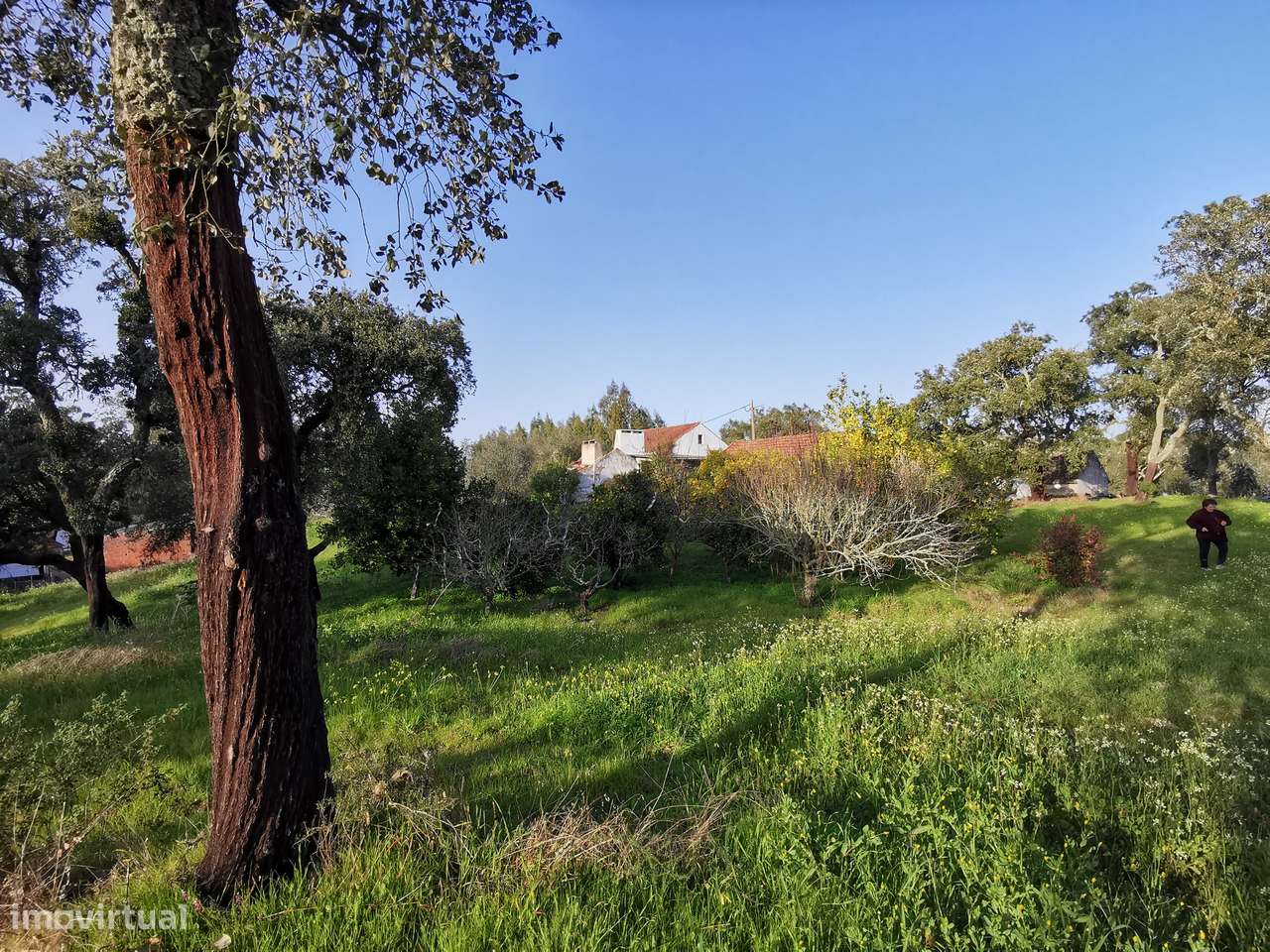 Moradia T2  Lamarosa de Coruche-27