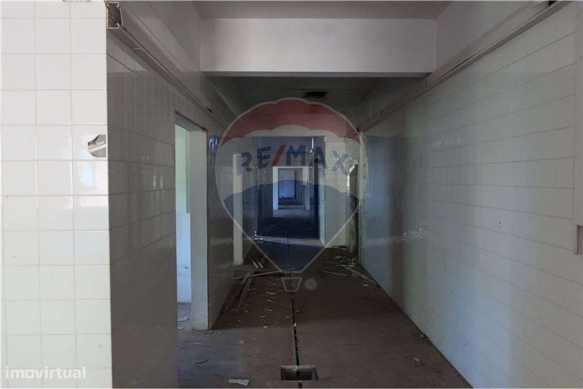 Industrial T0 para venda - Grande imagem: 3/13