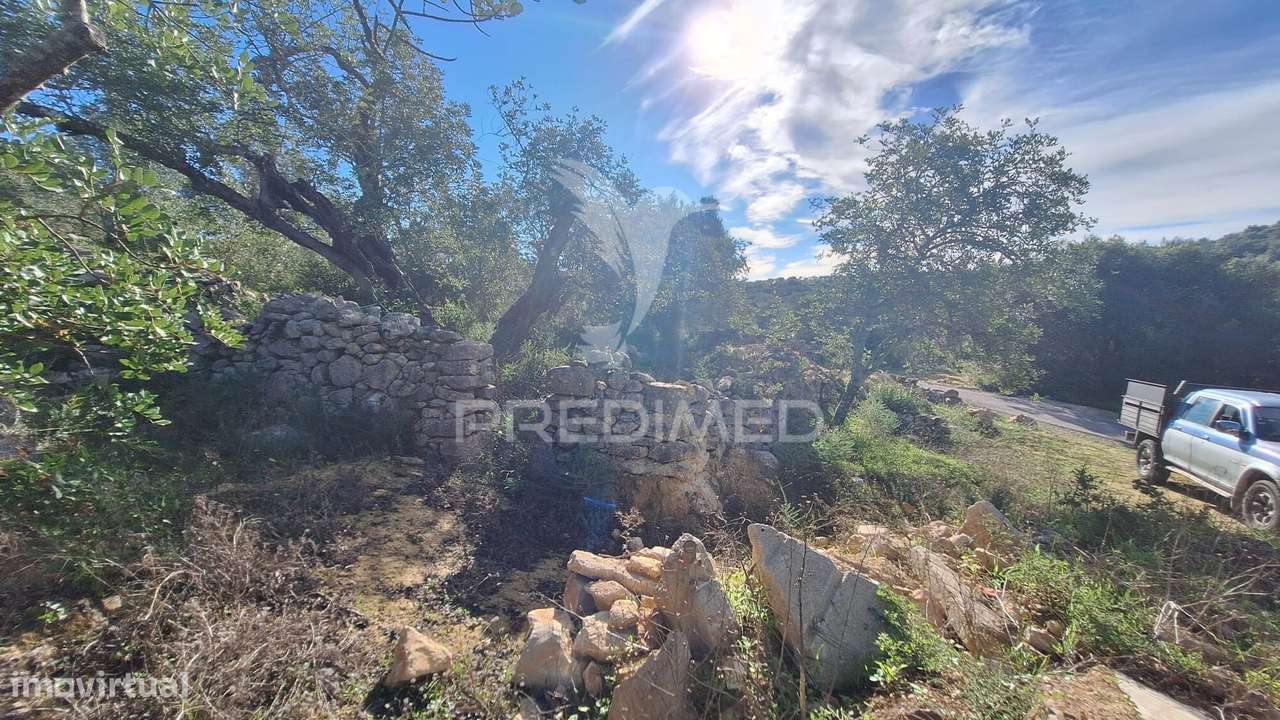Terreno rustico em Loulé com 1ha e acesso directo da estrada - Grande imagem: 4/10