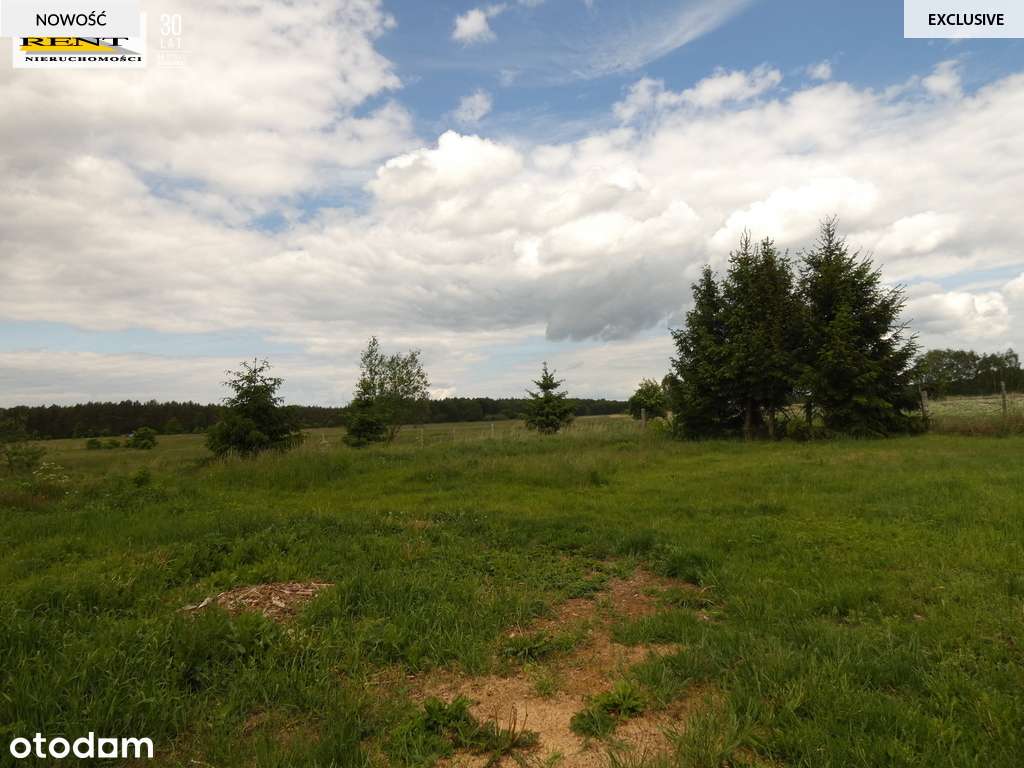 Działka Stepnica -. 8600m z warunkami zabudowy - Pełny obrazek: 4/8