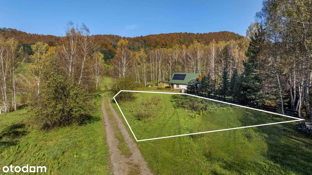 Jezioro Solińskie | Zobacz film | Bieszczady-11