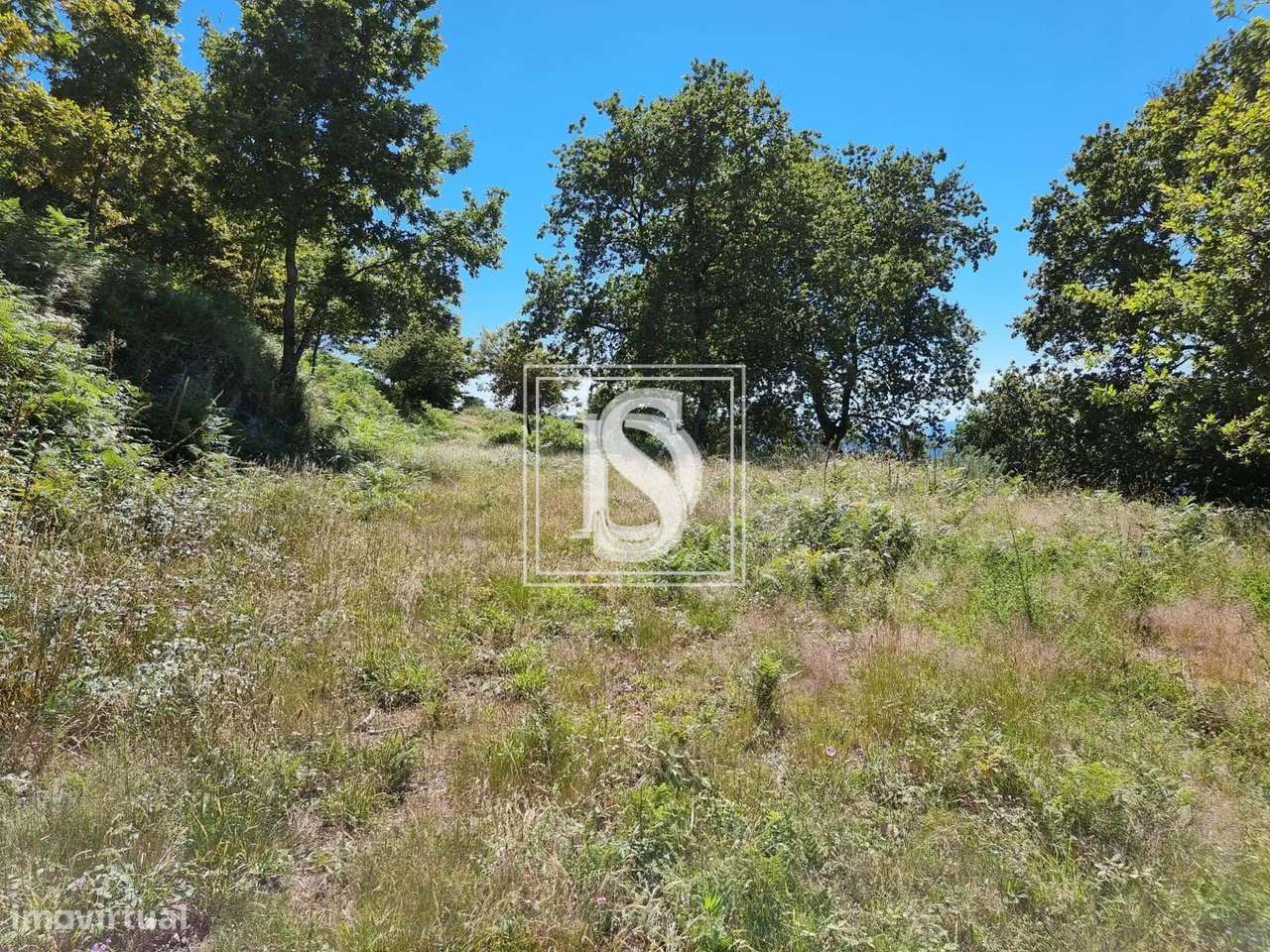 Terreno Não definido em UDF de Ventosa e Cova - Grande imagem: 4/30