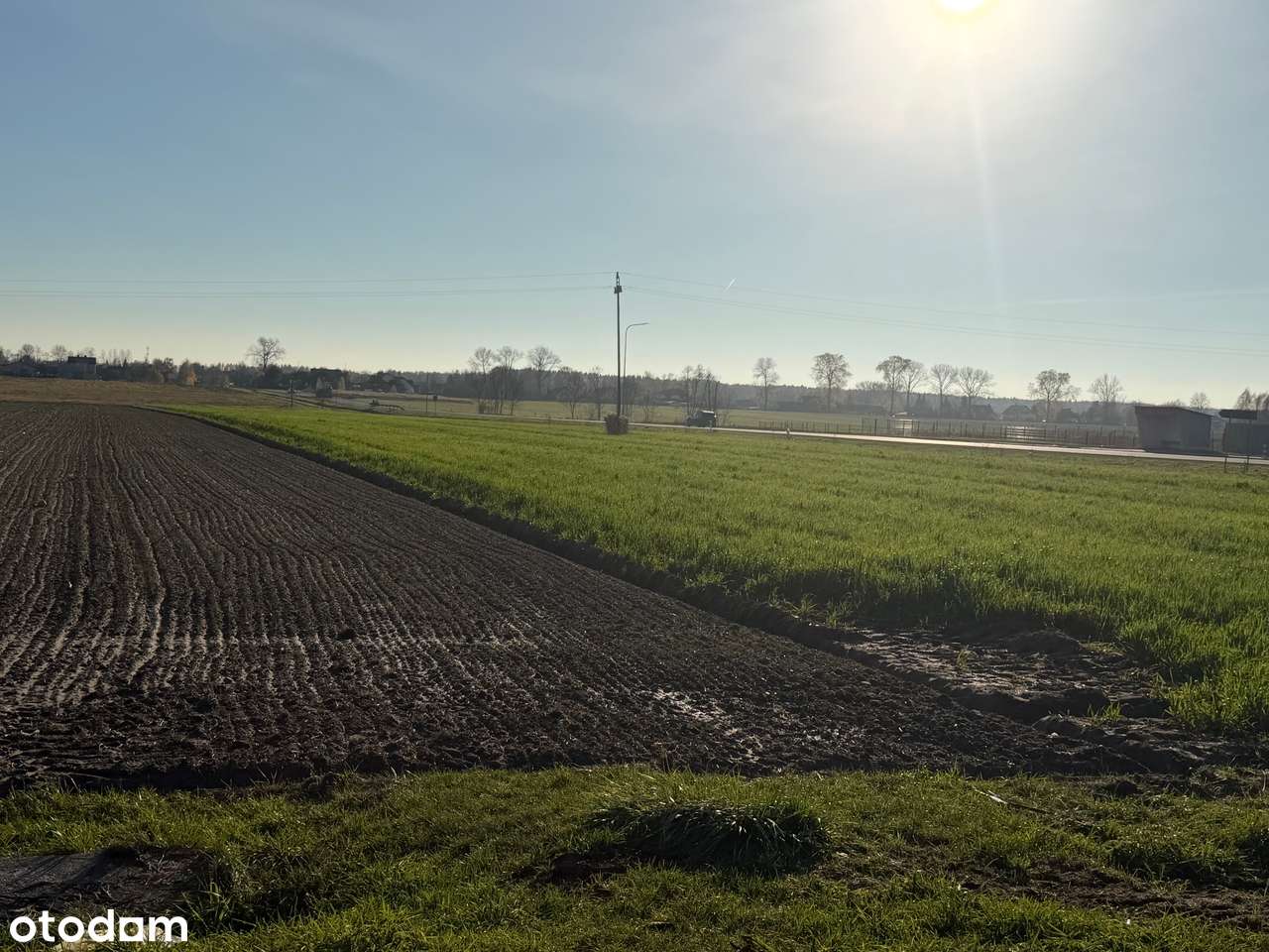 Działka inwestycyjna w Brzóze 5km od Mińska Maz. i 40km od Warszawy - Pełny obrazek: 5/8