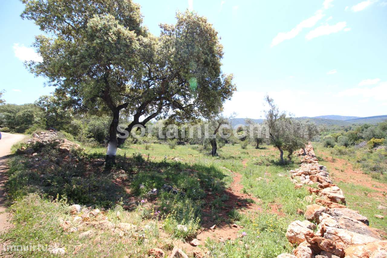 Terreno Para Construção  Venda em Querença, Tôr e Benafim,Loulé - Grande imagem: 3/5