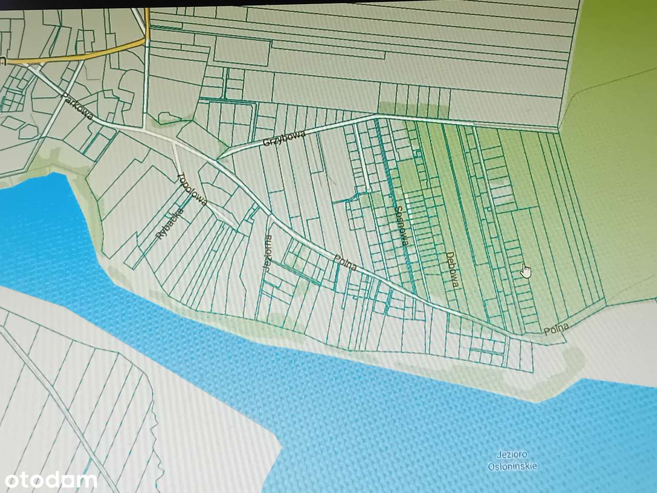 Dom, 300 m², Osłonin-8