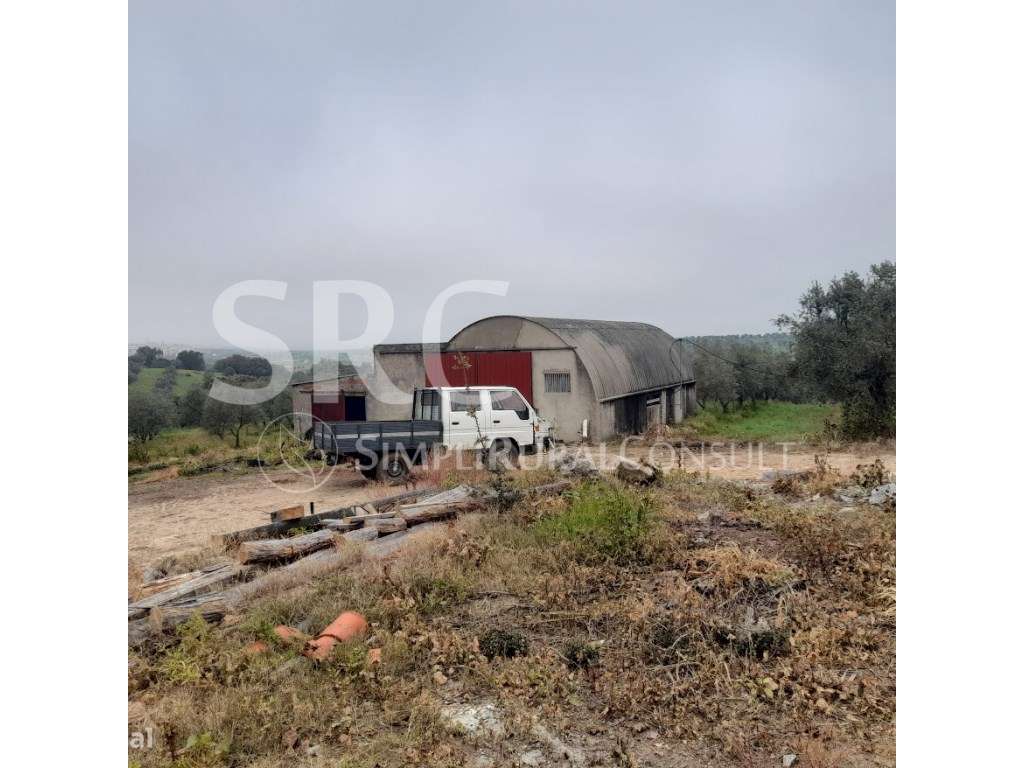 Herdade do olival das Barreiras-36