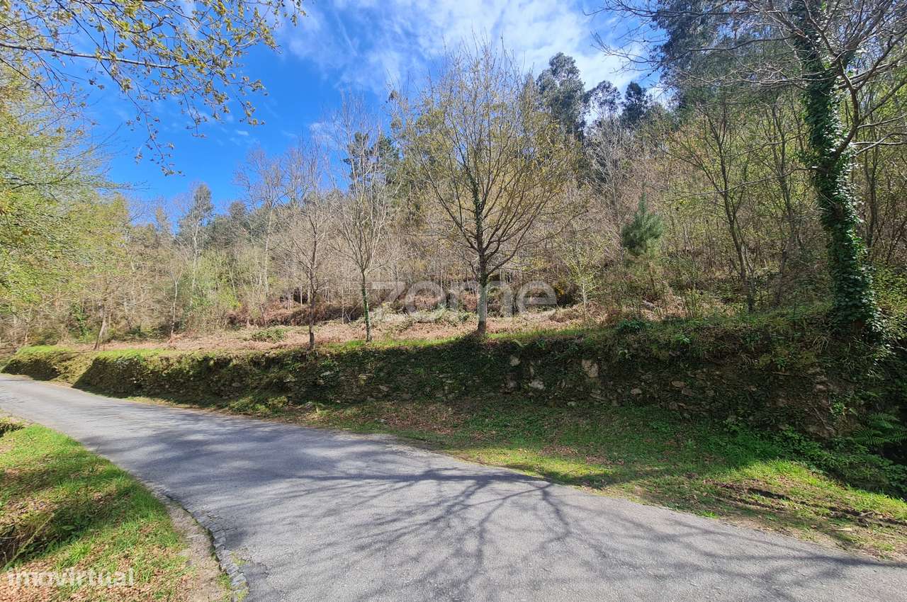 Terreno - Grande imagem: 2/7