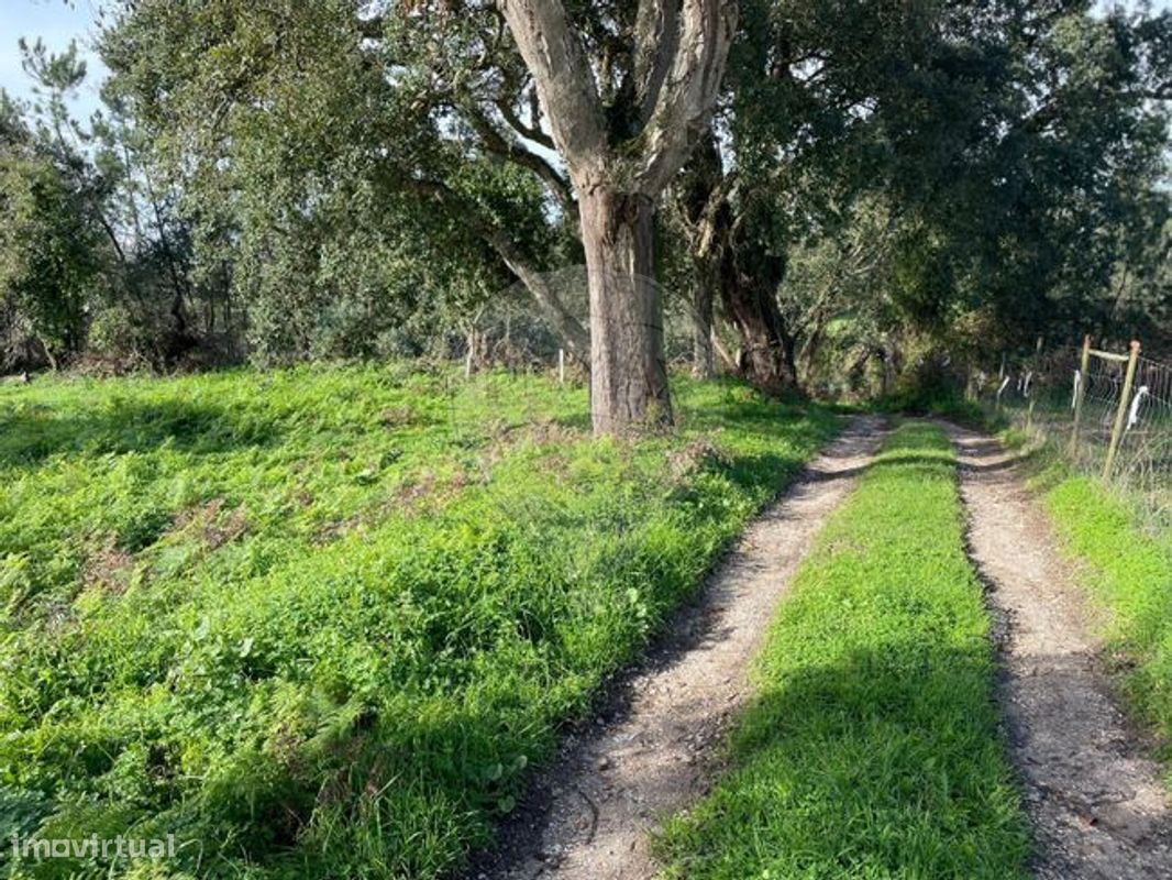 Terreno  para venda