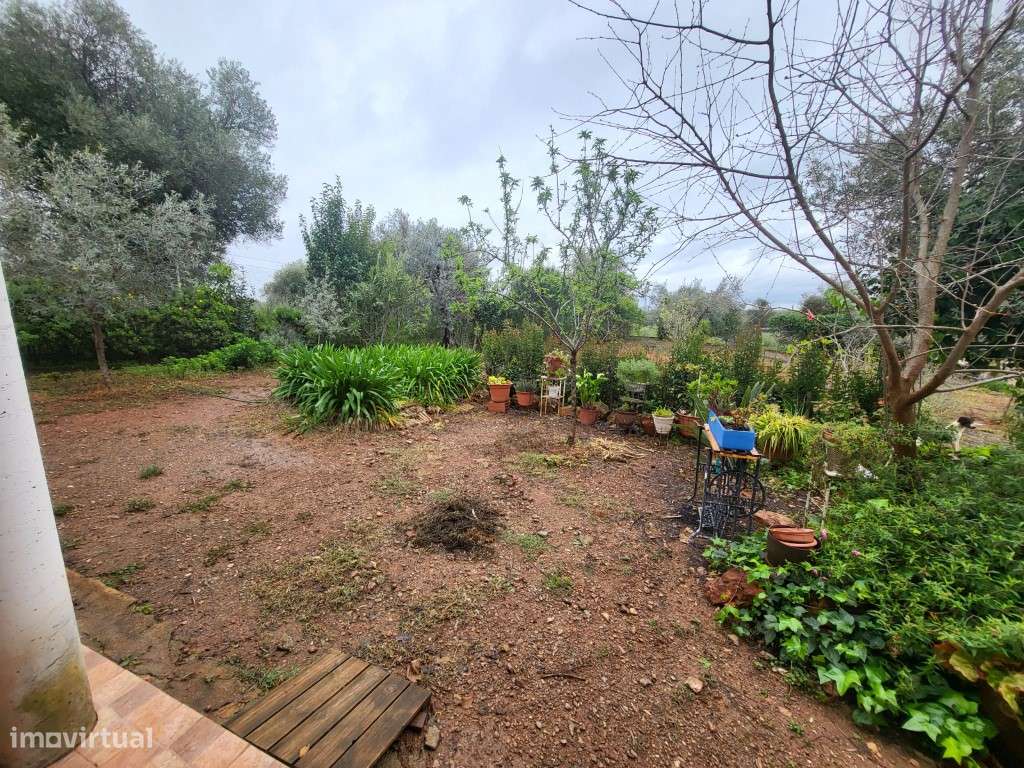 Quintinha T1 com 10.000 m2 em Moura - Grande imagem: 5/40