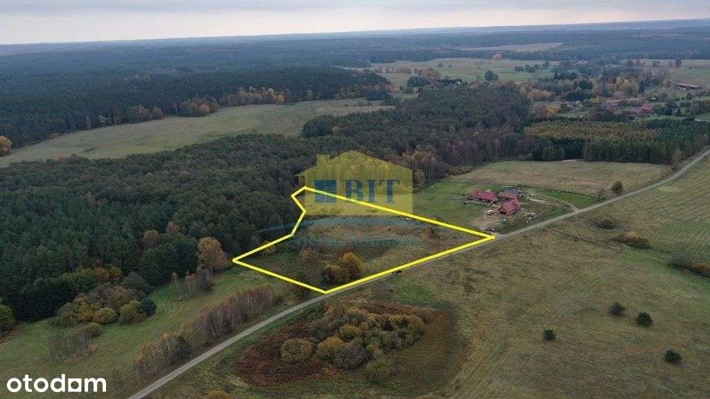 Kompleks trzech działek w Gronowie - Pełny obrazek: 4/8