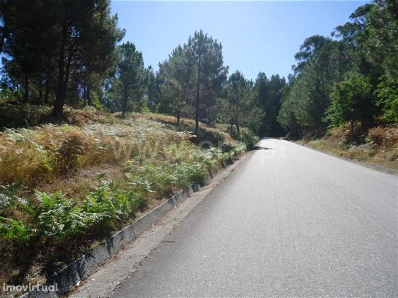 Terreno de 8.000 m2 em São Gens