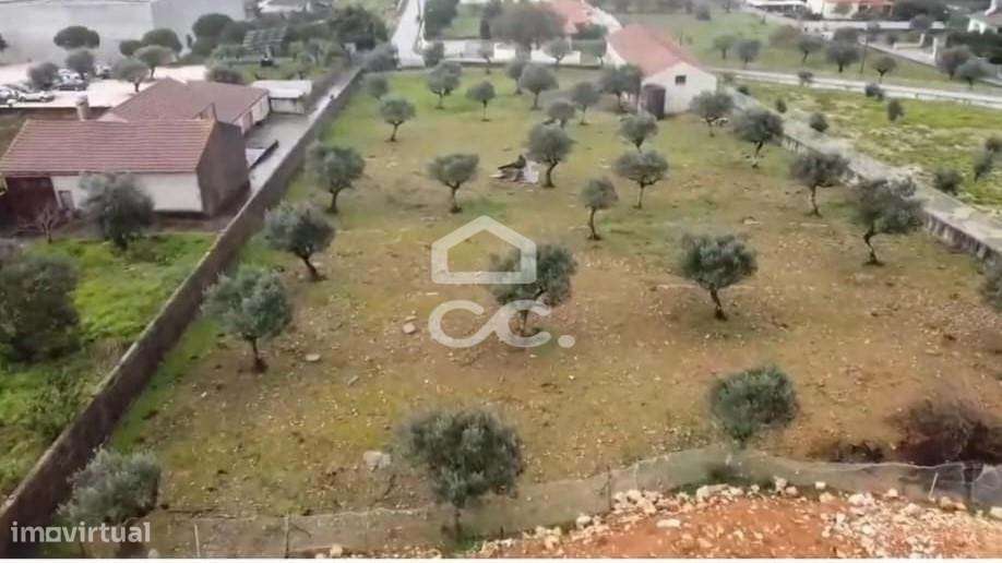 Terreno para construção localizado em Fatima. ( 5 min do Santuário) - Grande imagem: 1/1