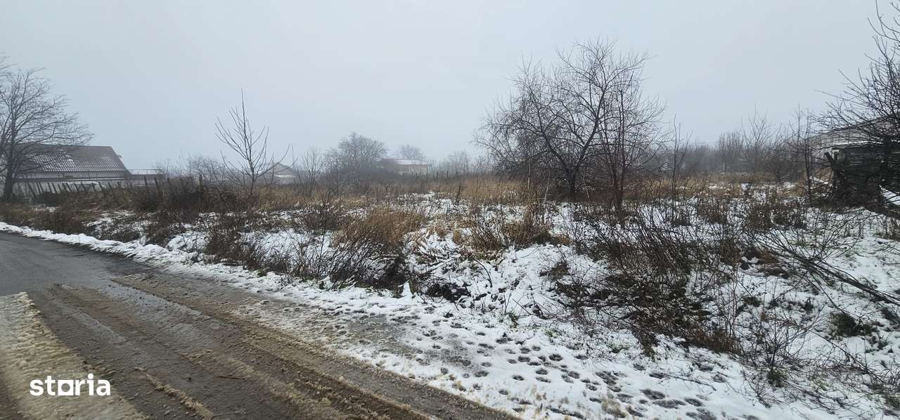 Exclusivitate MAG Invest – Teren 2300 mp Vanatori, ideal investitie-3