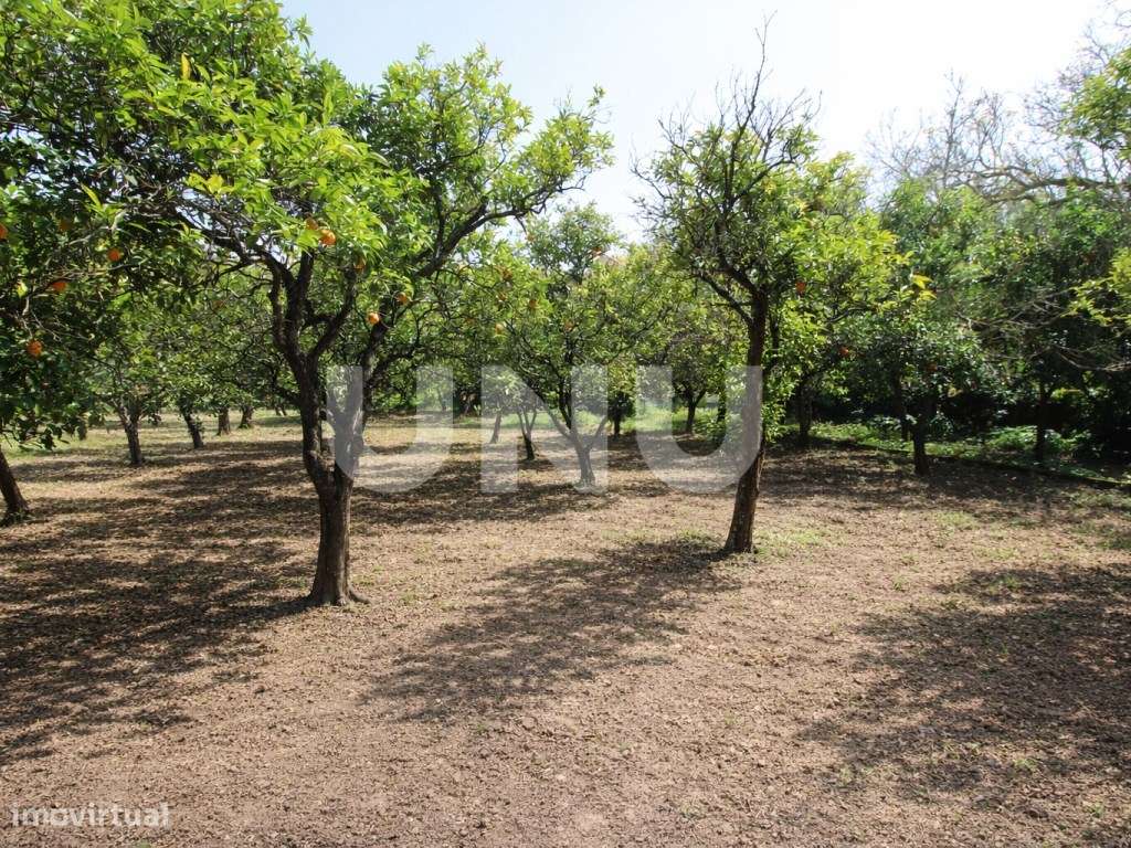 Terreno Misto em Vila Franca de Xira!-12