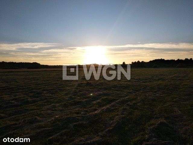 Sasino, działka rekreacyjna blisko morza. - Pełny obrazek: 4/5