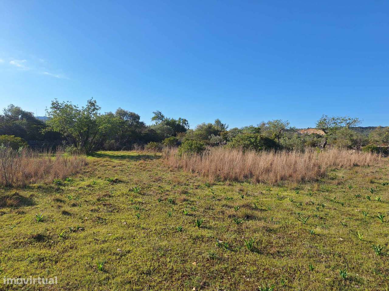 Terreno Rústico no Sítio do Laranjeiro de Santa Catarina da Fonte d...-13