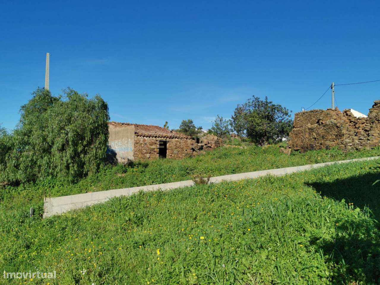 Terreno urbano no Sitio do Vale Rosado - Conceição de Tavira - Grande imagem: 4/7