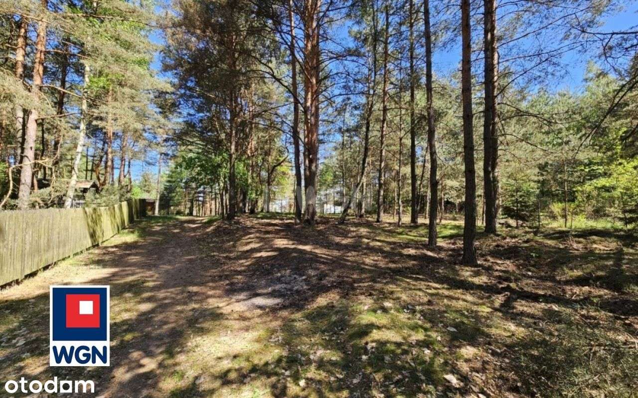 Działka budowlana w lesie przy Zalewie Porajskim - Pełny obrazek: 4/20