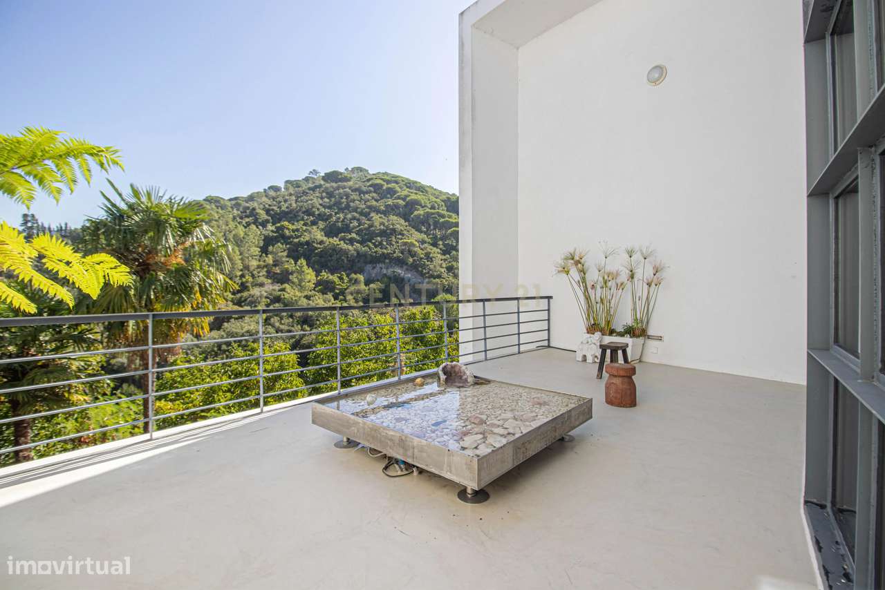 Quinta na Arrábida com moradia T5 de 364 m2 em lote de 13 520 m2 Onde-15
