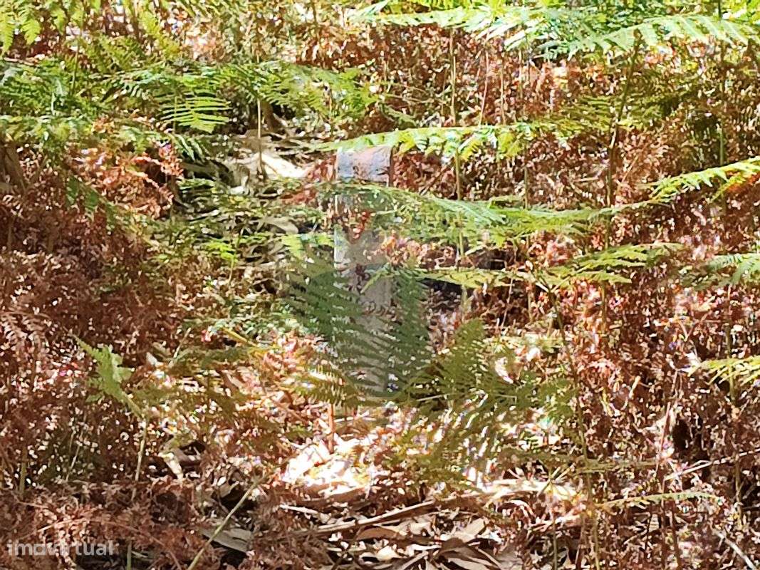 Terreno T0 para venda - Grande imagem: 4/4